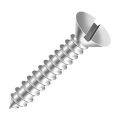PARAFUSO AUTO ATARRAXANTE 5,5X19,0 CHAVE FENDA ZINCADO NAC