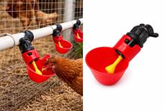 BEBEDOURO AVES AUTOMÁTICO COPO COM VALVULA